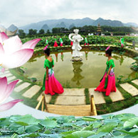 直播回放：6月8日灵川江头“姑娘节”，看传统古村、赏百亩荷花！