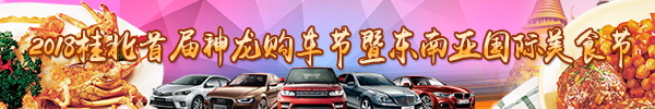 直播回顾：2018桂北首届神龙购车节暨东南亚国际美食节，带您看好车吃美食！